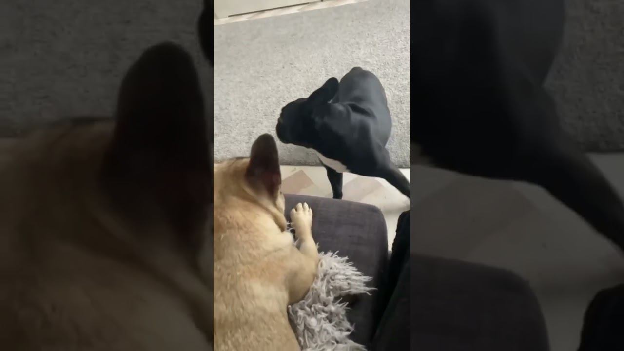 Жена: «Бла бла бла»Муж: «Помолчи уже!»