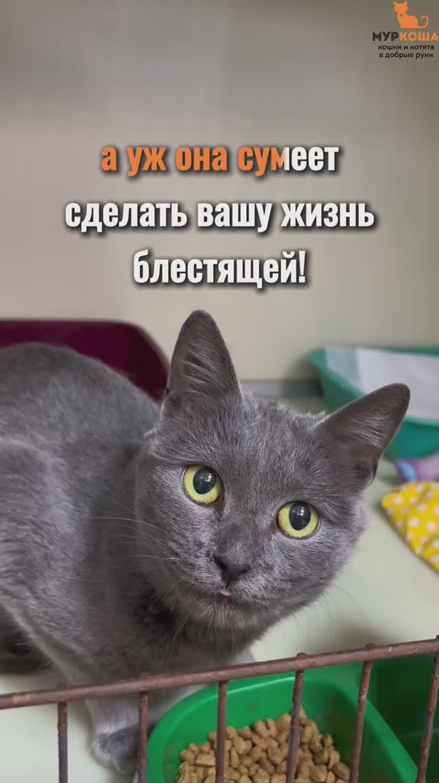 Беллатрикс (уже дома) смотреть онлайн