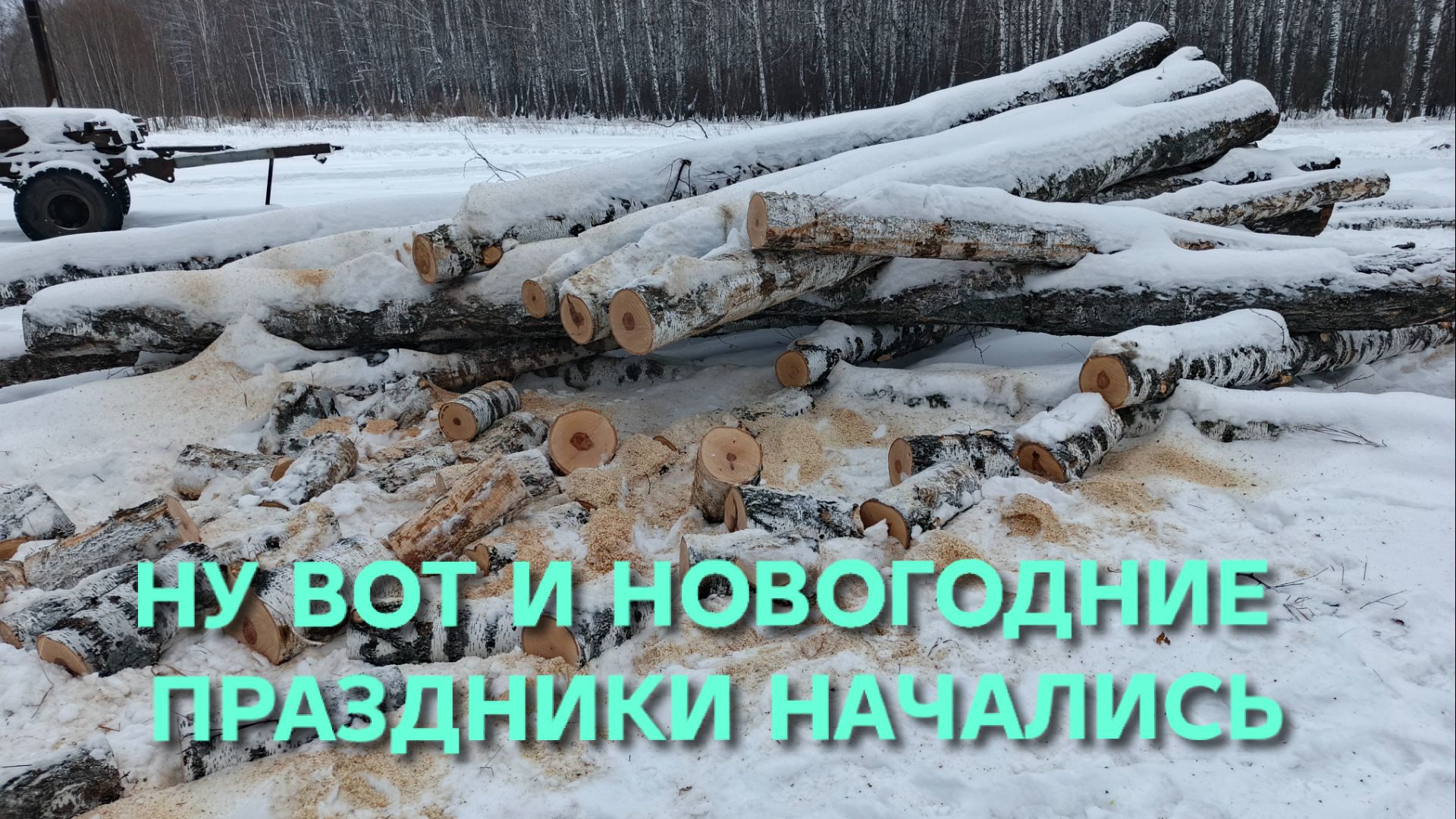 Жизнь в деревне Как можно вообще работать 2 января Начал пилить дрова