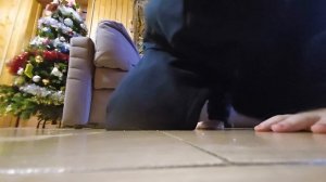 Я трюкач ))))