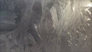 Архангел Рафаил.