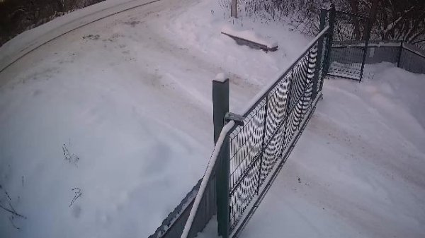 LIVE: channel74055310