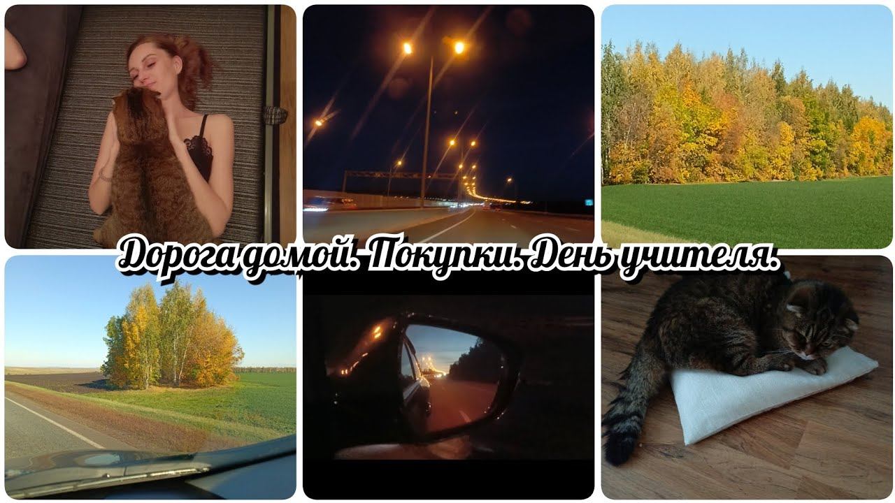 Дорога домой Покупки День учителя смотреть онлайн