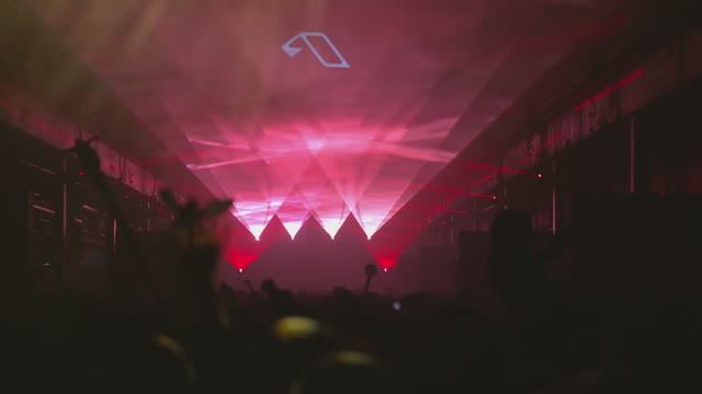 Luttrell  London 2019