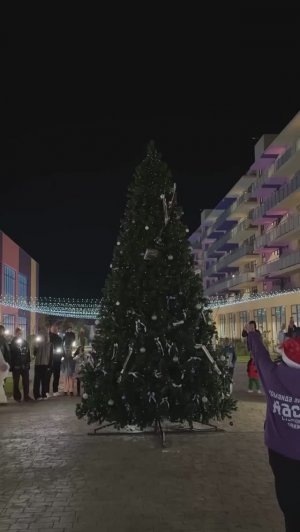 Всех с Новым годом 2026!