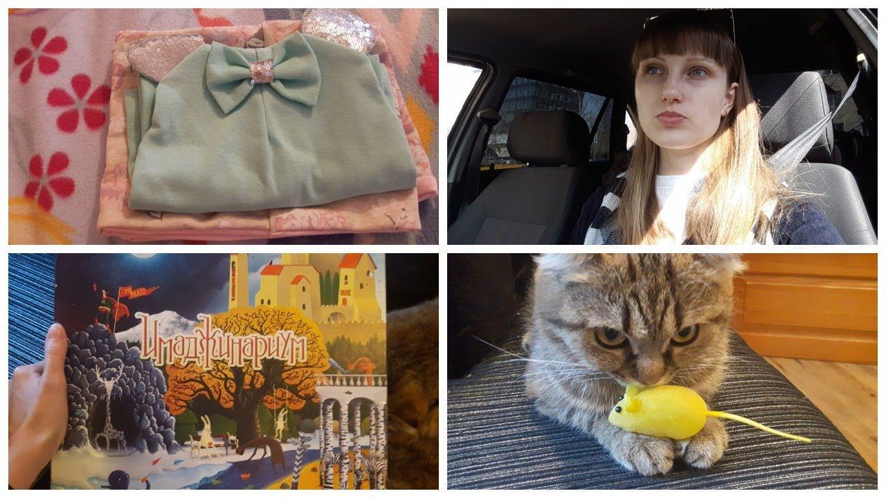 Vlog. Машинный влог/ Кошка/ Настольные игры продолжение/ Имаджинариум смотреть онлайн