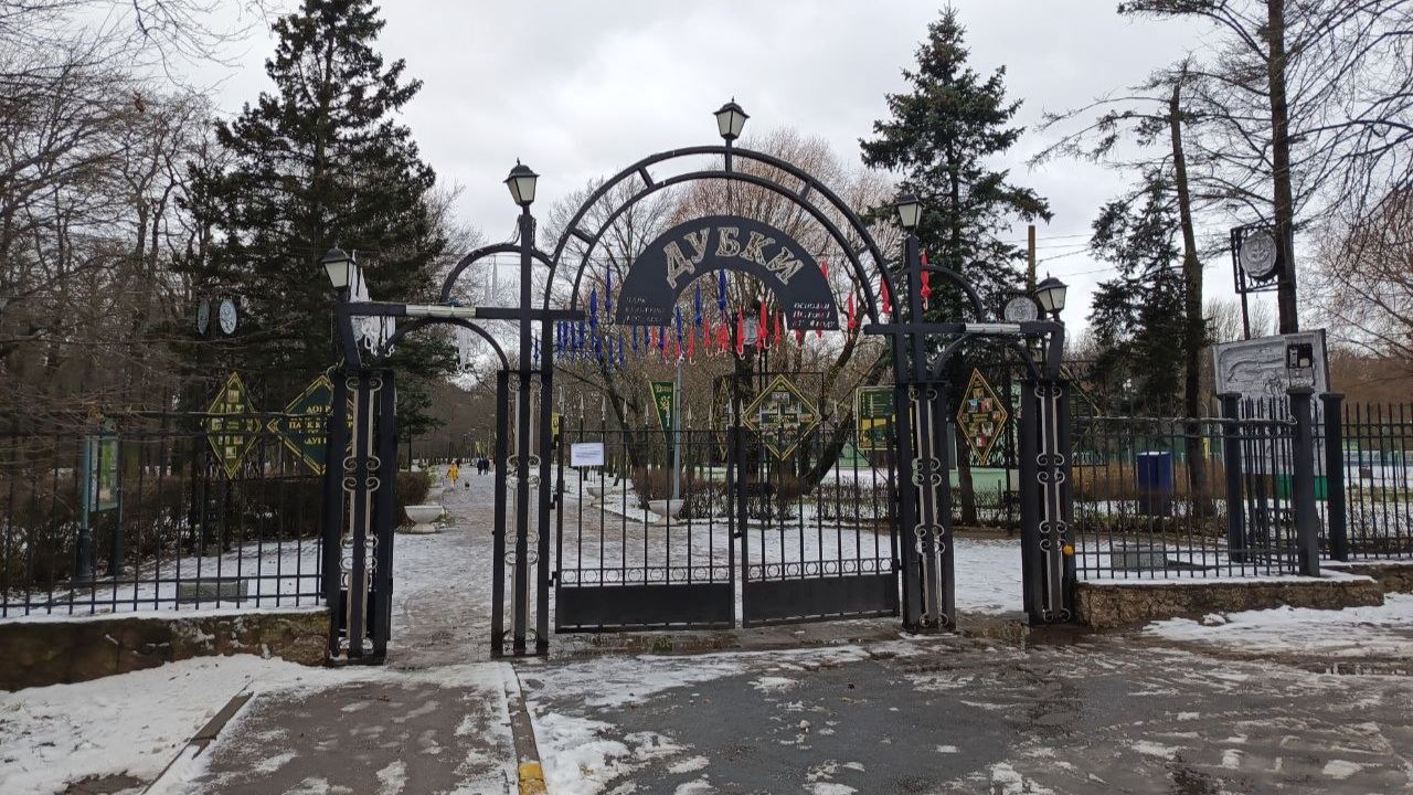 Парк "Дубки" в Сестрорецке смотреть онлайн