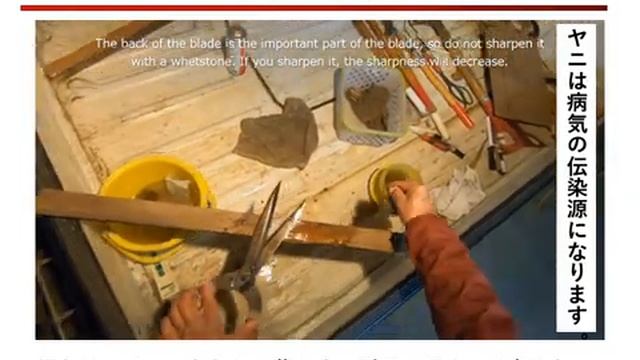 Японские ножницы карикоми-басами. Модели, использование и обслуживание.