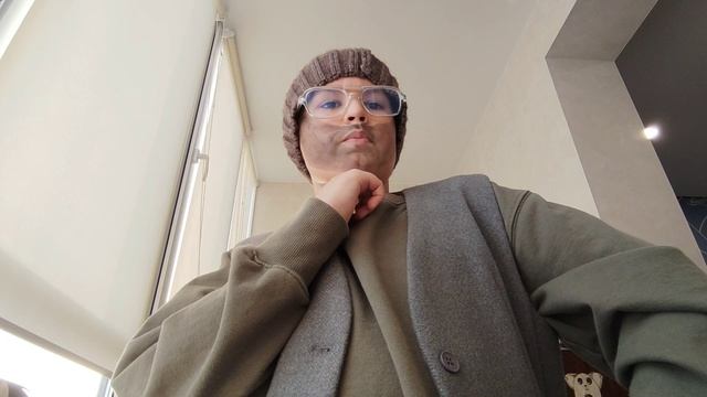 Финдус и Петсон. Механический дед мороз. Глава 6