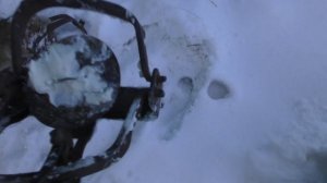 Как спасти продукты от мышей и крыс