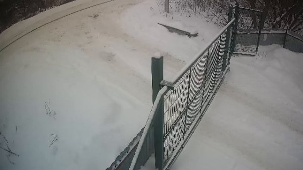 LIVE: channel74055310