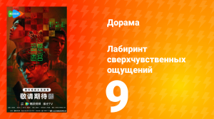 Лабиринт сверхчувственных ощущений 9 серия