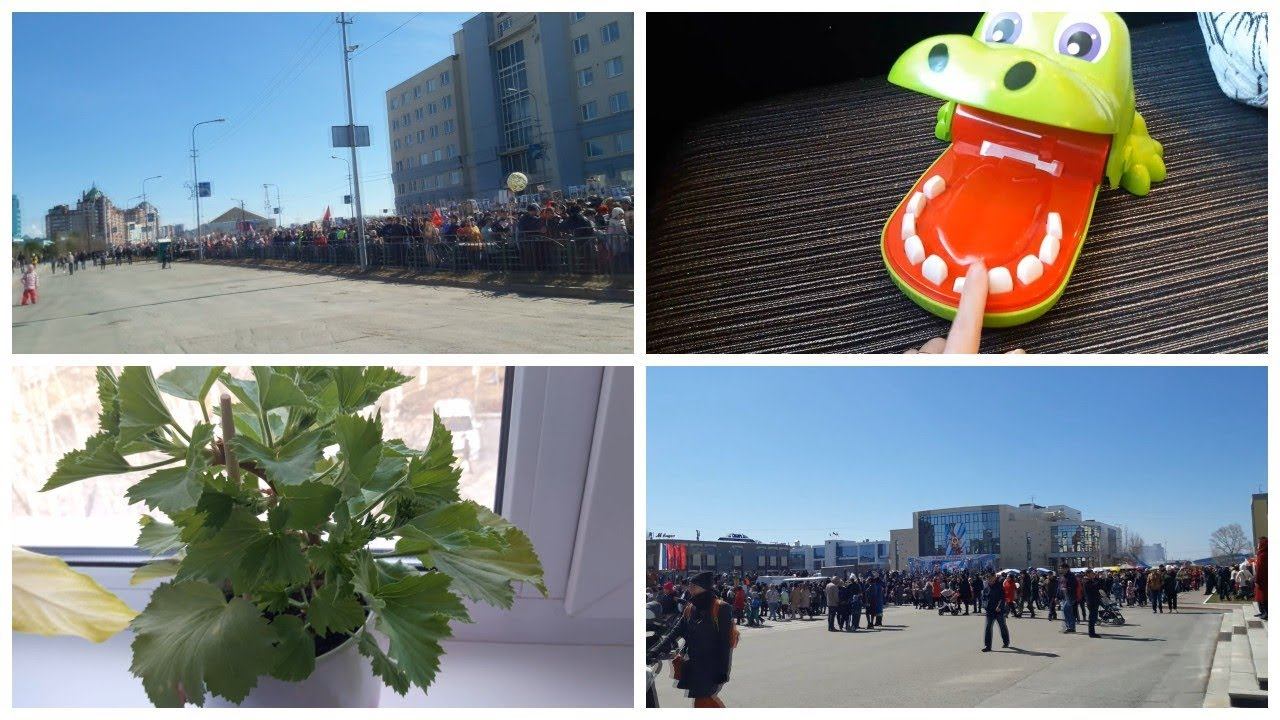 Vlog. Бессмертный полк/ Бефстроганов/ Шарлотка в мультиварке/ Цветы смотреть онлайн