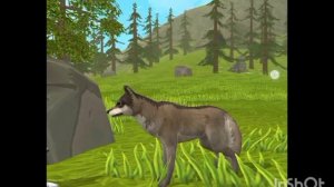 Мини фильм Wildcraft "Жизнь леса" 1 серия