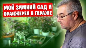 С пеларгониями разобрался, теперь оранжерея на очереди.) Начал строительство.) 🔨
