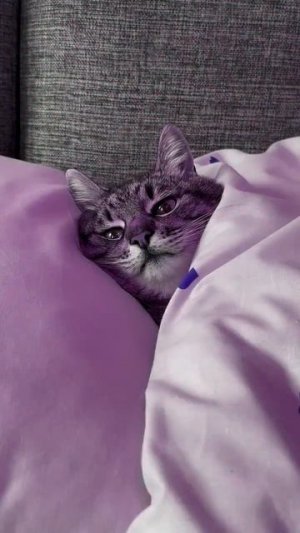 Видео от МЭН - Мне Это Нравится