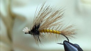 Stimulator Variant Double Wing