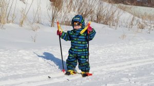 Кабы не было зимы