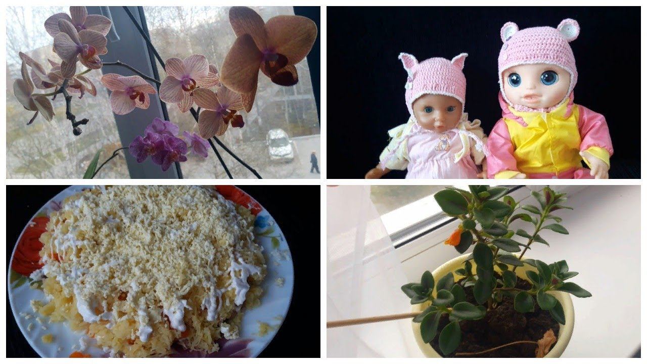 Vlog. ЛОПАТОЧКУ!!!/ Что с алоэ?/ Наши куклы/ Ждем гостей смотреть онлайн