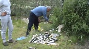 Рыбалка в тундре...