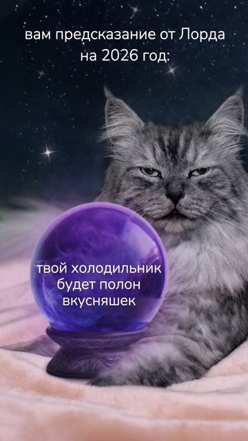 🔮 + 🐈⬛ = предсказание на 2026 год! смотреть онлайн