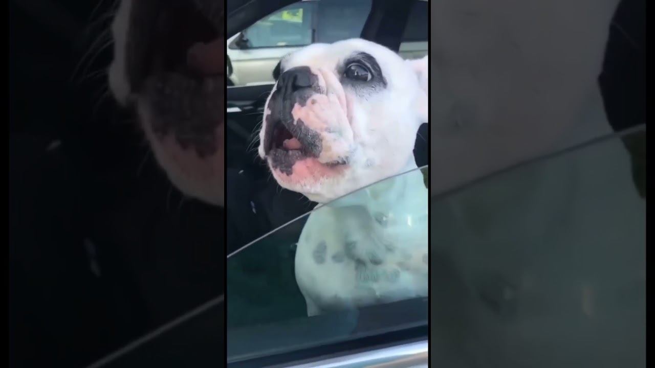 Вот где душа певицы ❤️