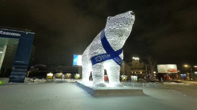 Местные белые медведи 02 01 2026