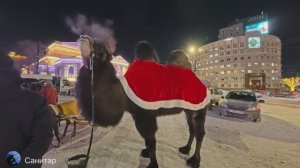 Insta360 Ace Pro 2 (Pure Video+) Челябинск (Ледовый городок)