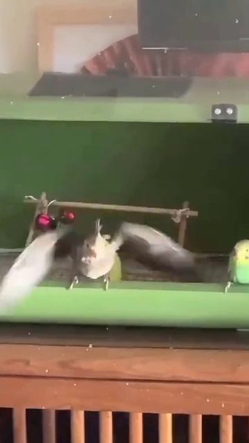 На самом деле я... Бэтмен!🤣🤣🤣 смотреть онлайн