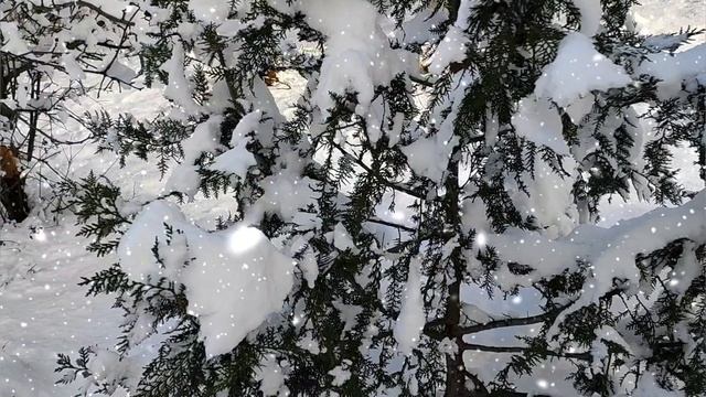 Снег кружится, летает...