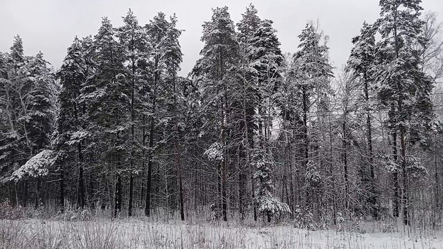 Полустанок... смотреть онлайн