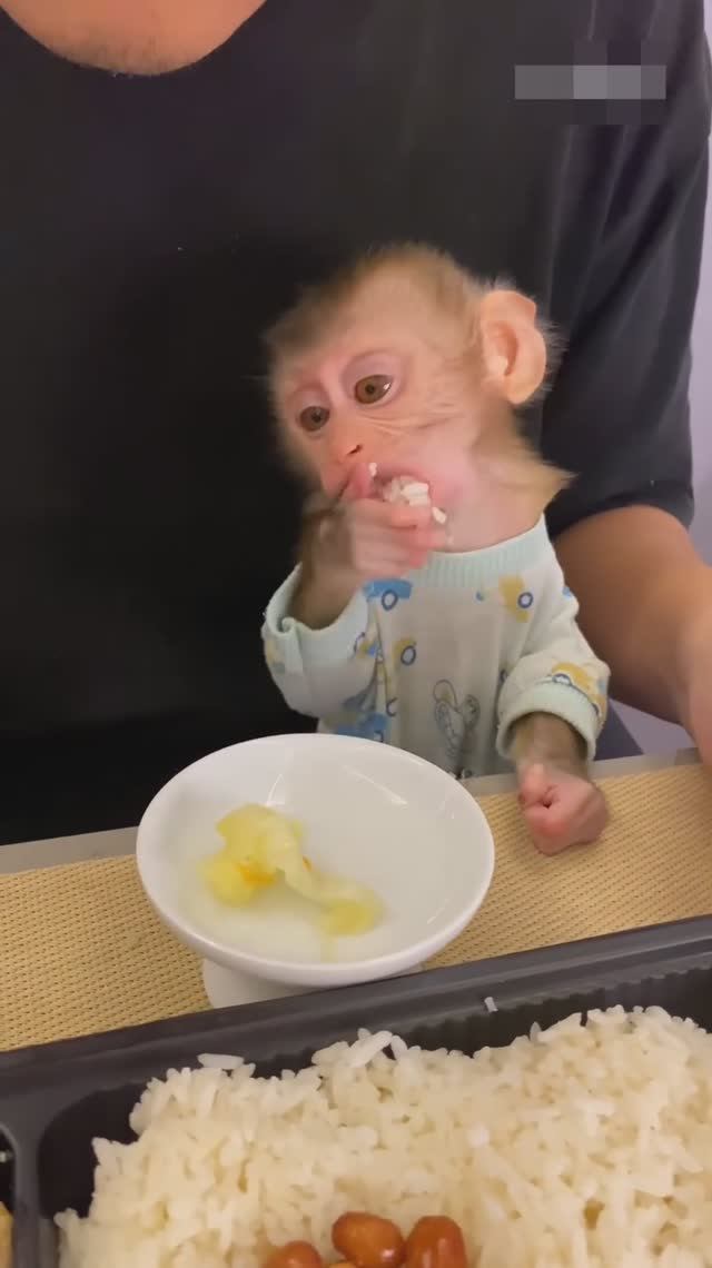 Кто на свете всех умнее😂 смотреть онлайн