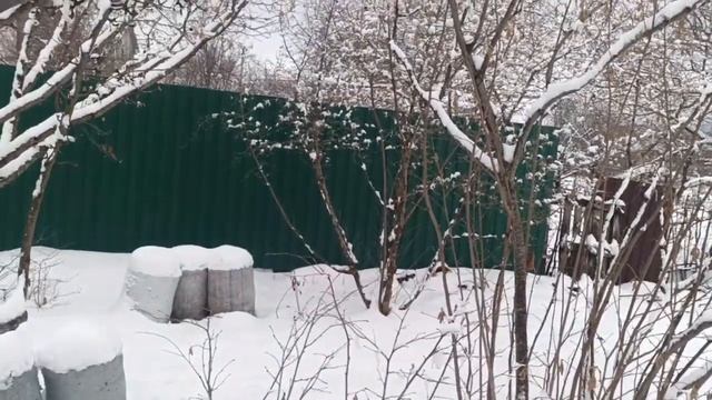 Фундук Трапезунд.Итоги 2025 года. смотреть онлайн