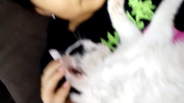 спим смотреть онлайн