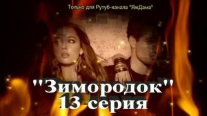 Впечатления от 13 серии турецкого сериала "Зимородок"