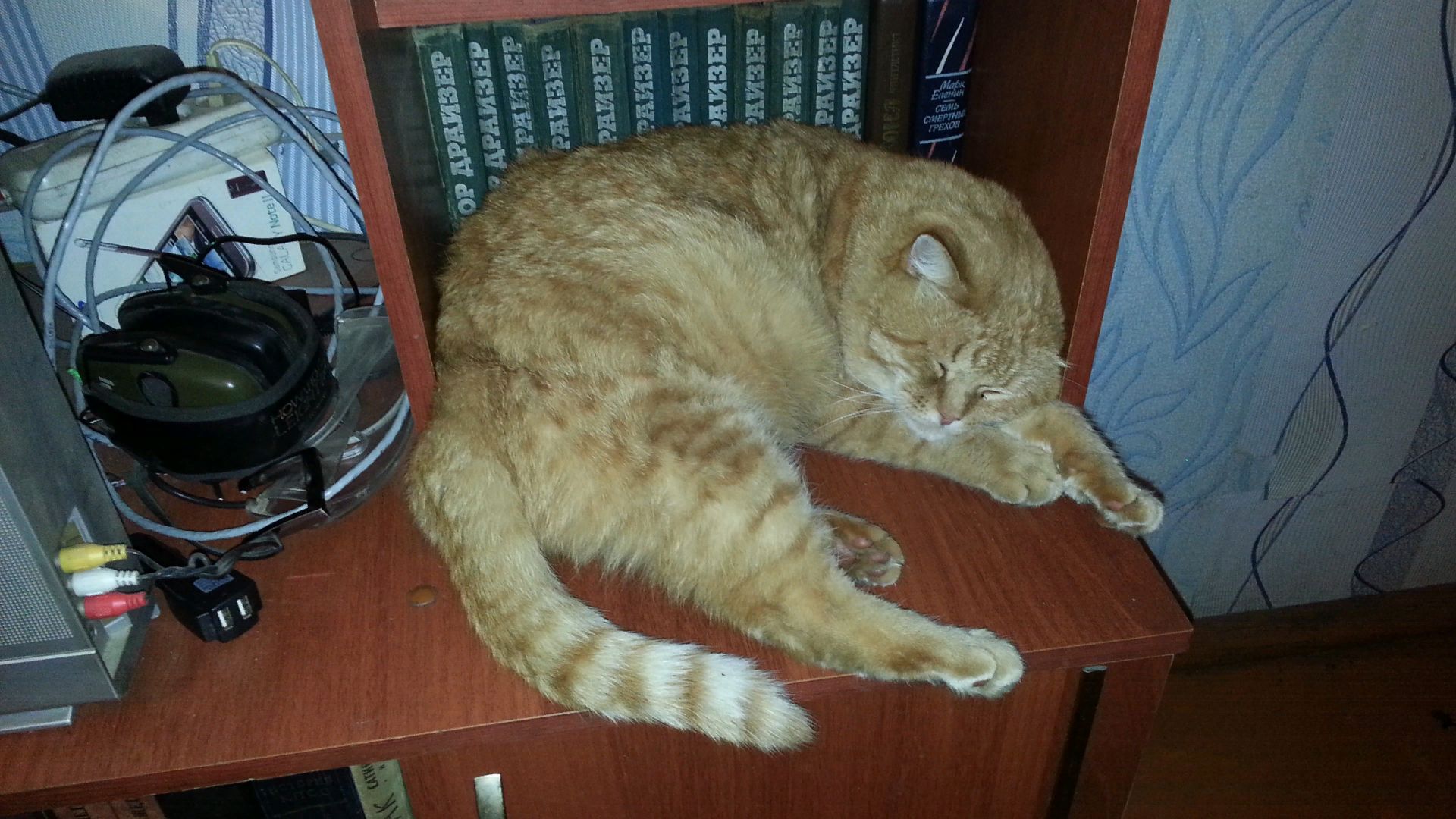 Наглая рыжая морда смотреть онлайн