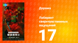 Лабиринт сверхчувственных ощущений 17 серия