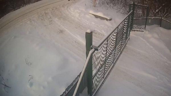 LIVE: channel74055310