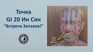 Массаж активной точки GI 20 Ин Сян (Встреча Запахов) 08