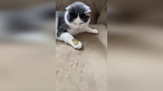 "..Верующий в Меня дела, которые творю Я, и он сотворит, и больше сих сотворит.." / Иоанна 14:12 смотреть онлайн