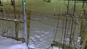 Двое мужчин погибли под электричками в Подмосковье, СК начал проверку