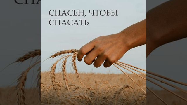 Тишина, я с счастьем... ♥️🙏 христианская песня смотреть онлайн