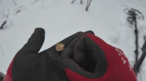 Коп  в конце декабря Minelab EQUINOX 900 4k