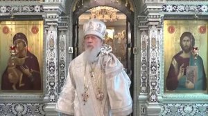 Мы не понимаем КАК ВЕСТИ СЕБЯ В ЭТОМ МИРЕ! Епископ АВГУСТИН (Анисимов)