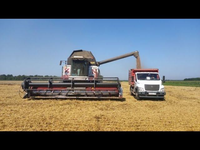 УБОРКА УРОЖАЯ подходит к долгожданному концу !