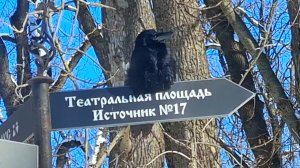 Ессентуки Курортный парк 03.01.26