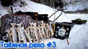 Рыбалка в Сибири