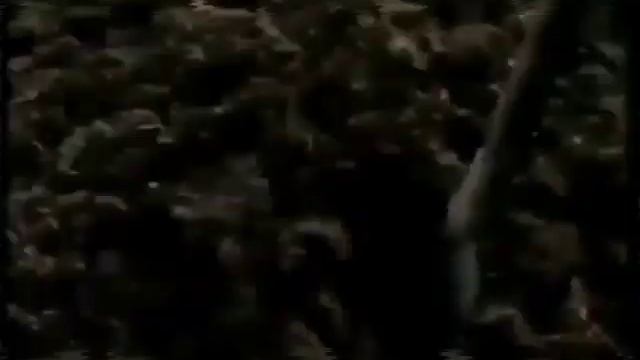 Реклама Outfit7 Films (28.07.2004) (2)