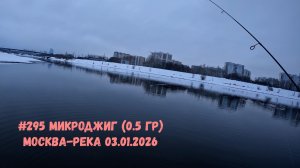 #295 Микроджиг (0.5 гр) Москва-река 3 января 2026
