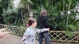 Ездили в ботанический сад / Забрали заказы 🪴🌲